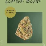 Green+Save+The+Earth+Sustainability+Pinterest+Post+(2)