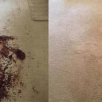 348d9ebd-3cf5-46bf-a08e-c1dd8f6e3283