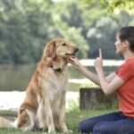 Puptown Houston Dog Training