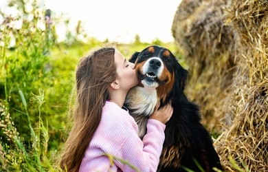 Dog Training and Its Important Aspects in Your Dog’s Behaviors