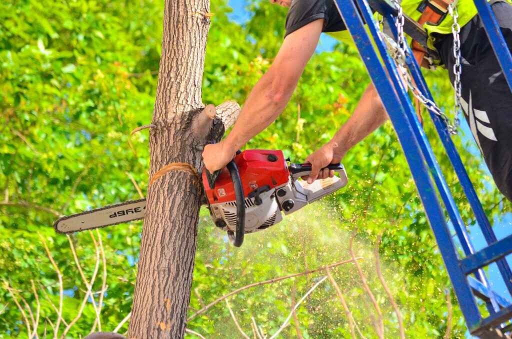 Commercial And Residential Tree Service