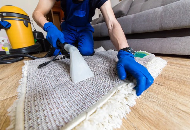 The Premier Carpet Cleaning Service on Mornington Peninsula