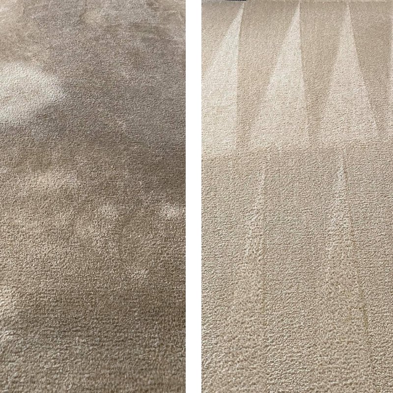 Carpet Cleaning Services