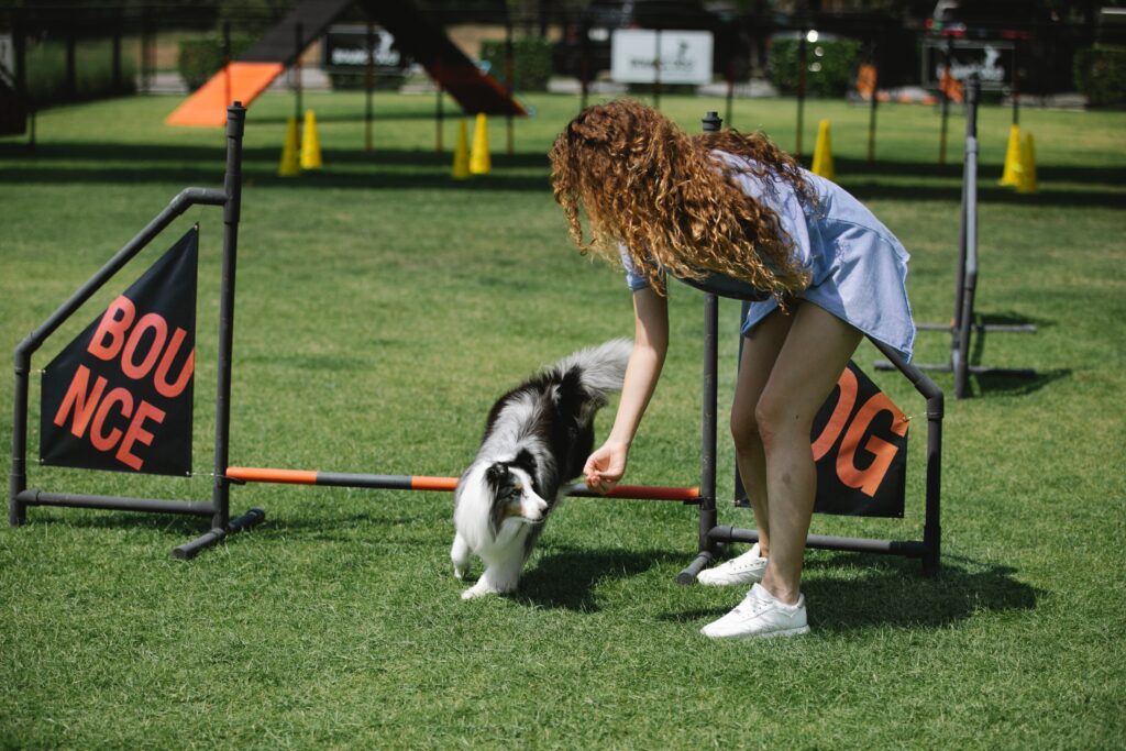 Dog Trainers Houston