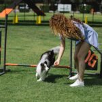 Dog Trainers Houston