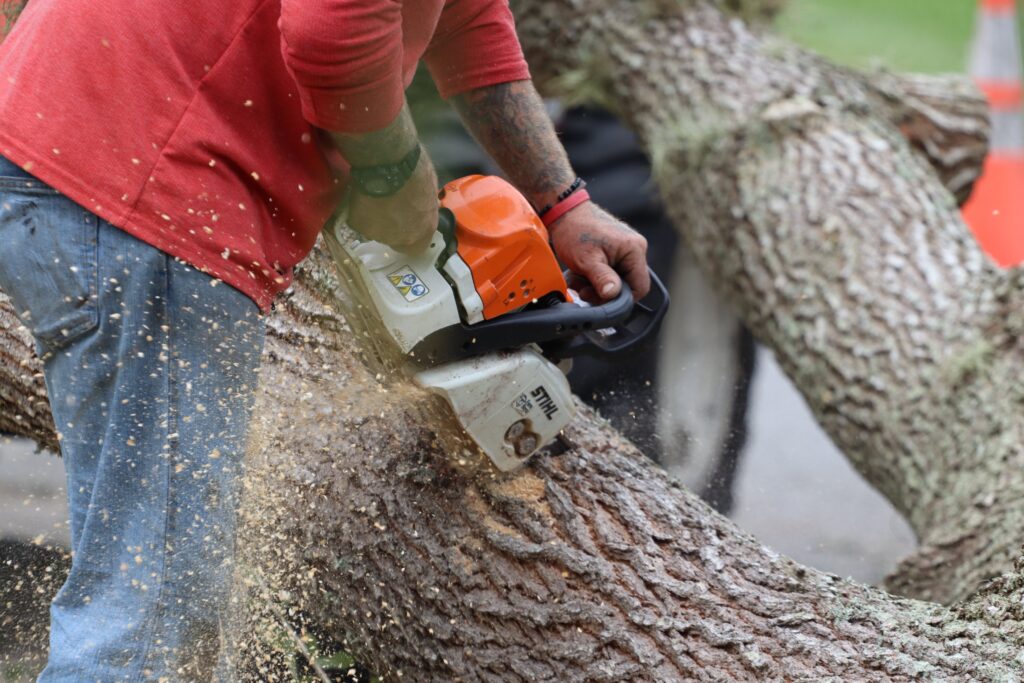 Tree Cutting